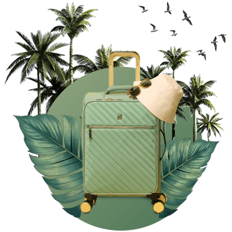 Travel Luggage